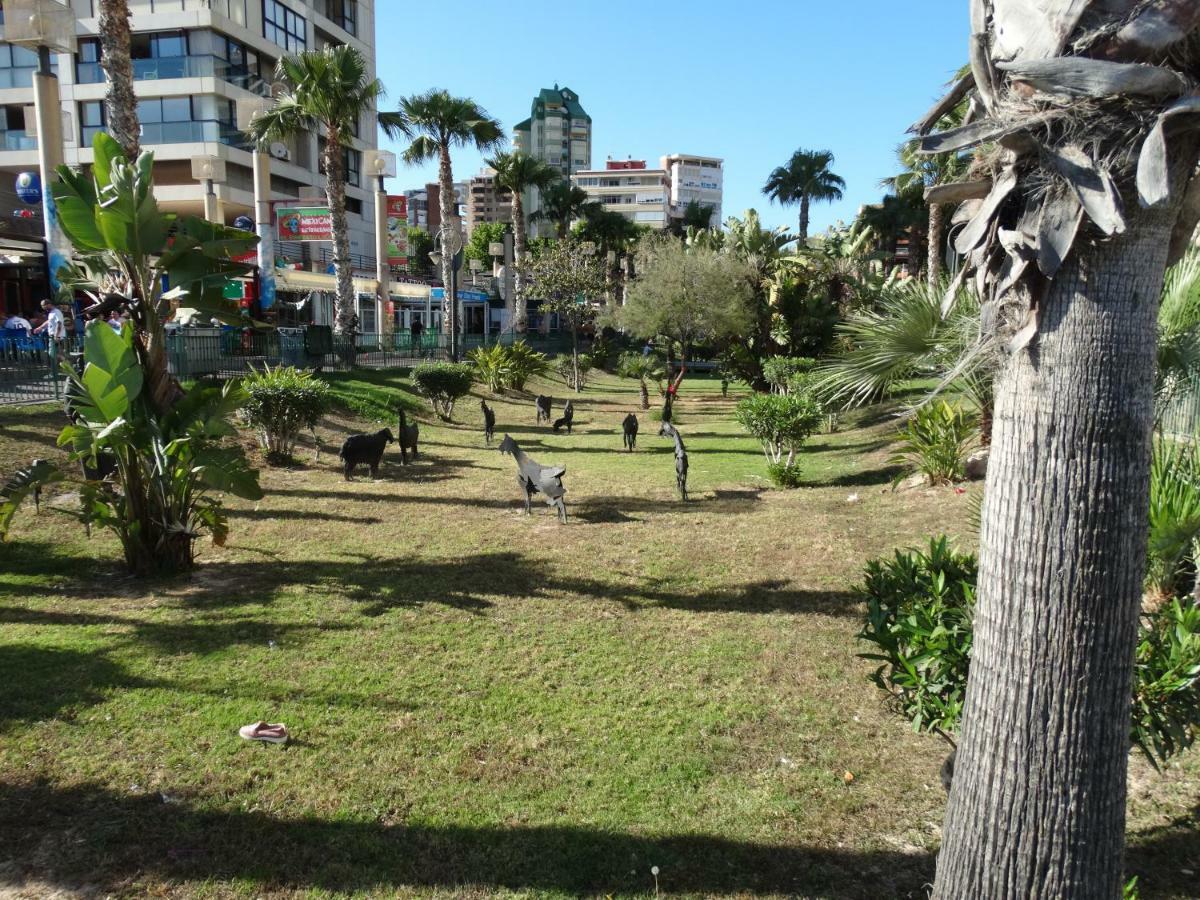 Apartment 2 Bedrooms, 250M Levante Beach Benidorm Exteriör bild